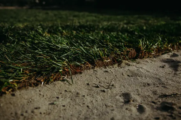 Монтаж системы автоматического полива и укладка рулонного газона в Новороссийске