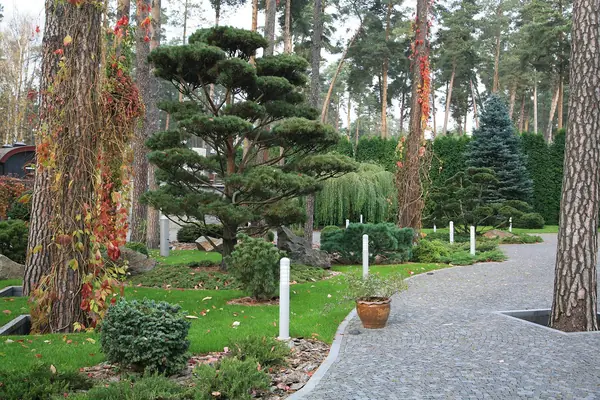 Ландшафтный сад в Горках 2