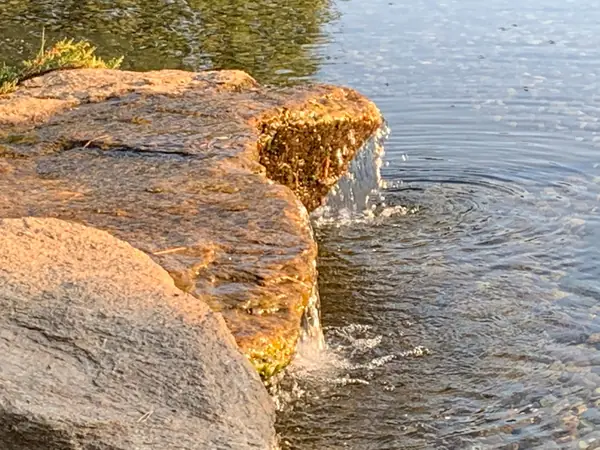 Ландшафт в поселке "Бенилюкс"