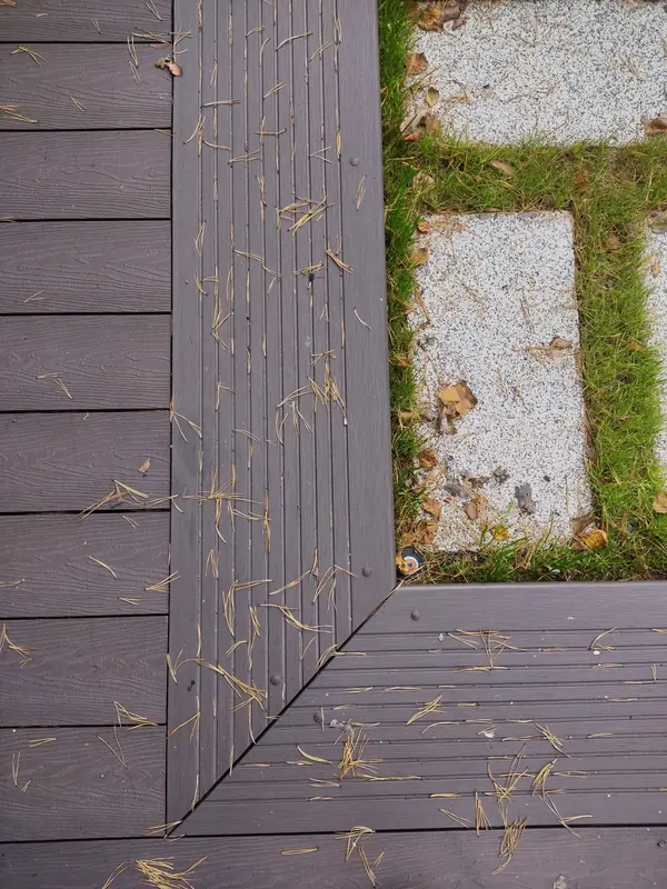 Денис Светлый Яр