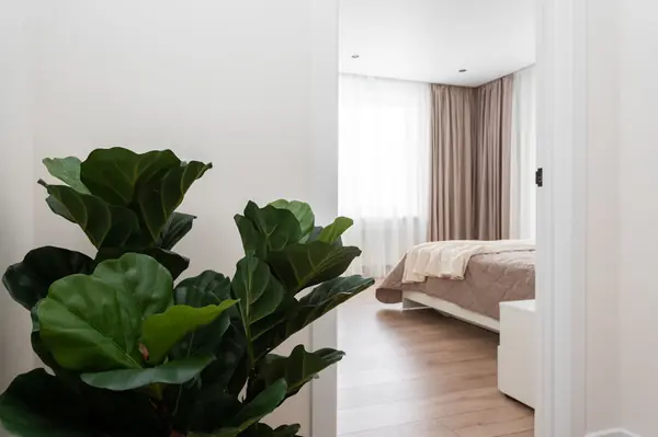 Жк Западный