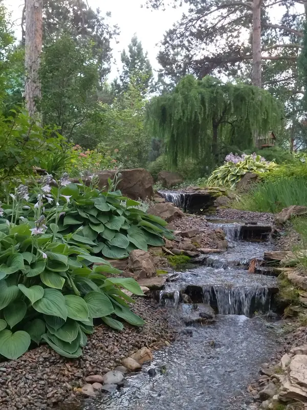 Реализованные проекты