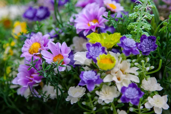 Наши проекты