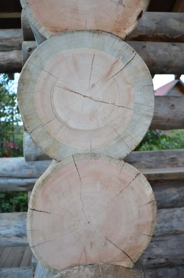 Избушка на опушке