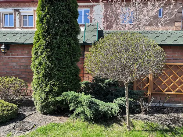 Дворик с поилкой для птиц