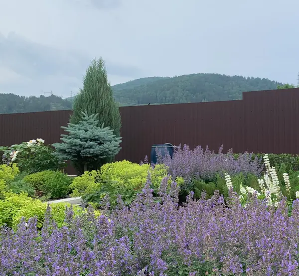 Реализованные проекты