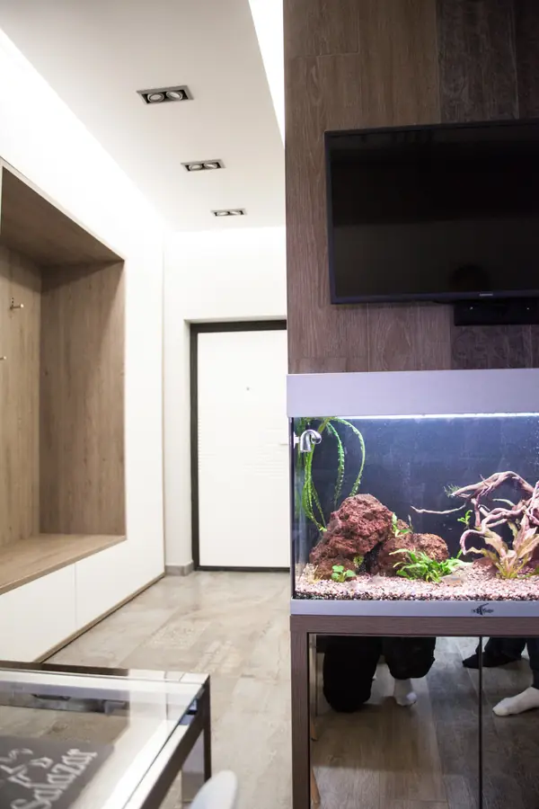 Квартира в ЖК Новомолоково