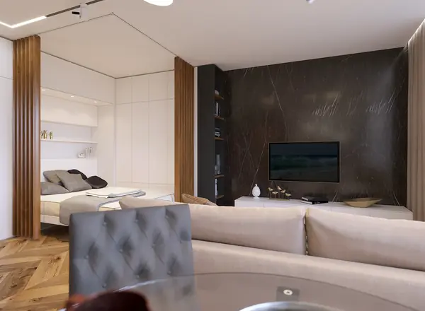 Квартира-трансформер. Крылов.