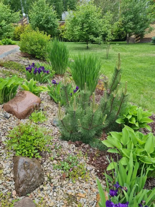 Ландшафтный дизайн Красноярск