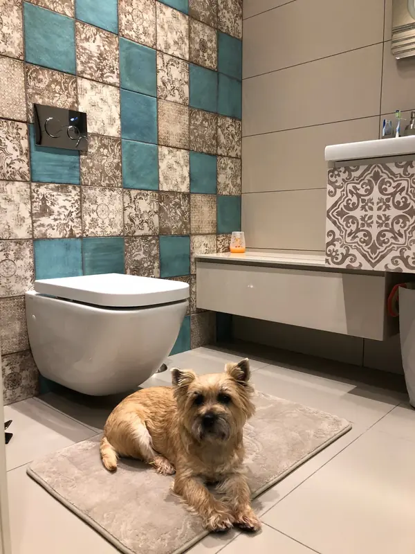 Квартира в Москве ул. Маршала Жукова