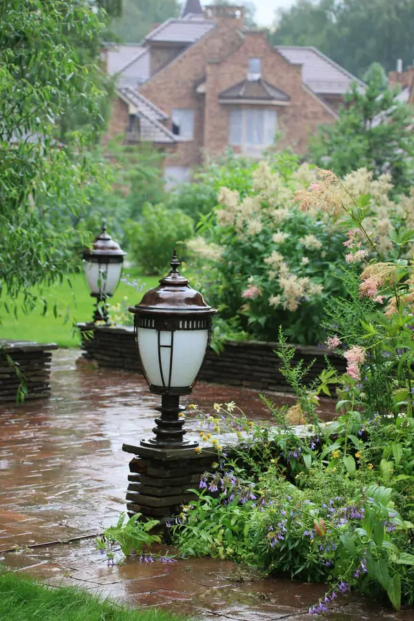 Бельгийка 01