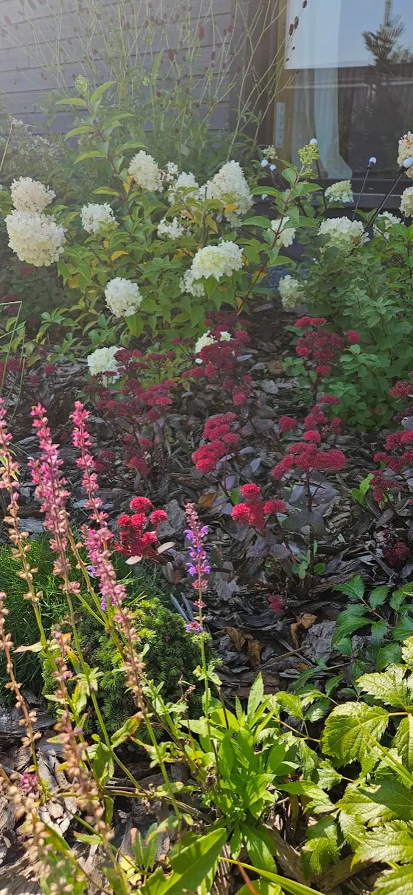 Готовые объекты