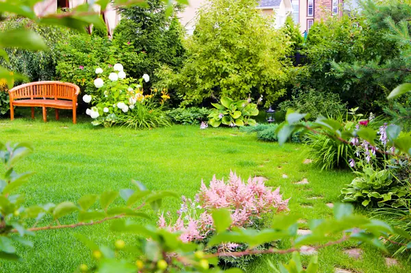 Новые Вешки