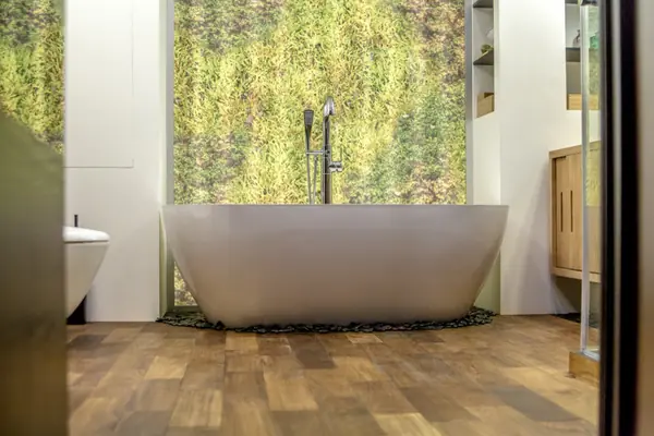 Северное сияние