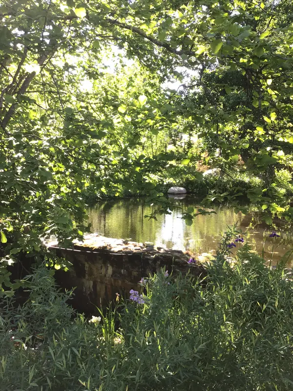 Сад натуралистического стиля