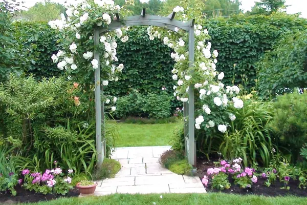 Наши работы