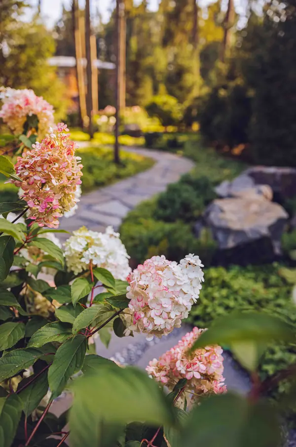 Архитектурное Решение в Пейзажном Стиле