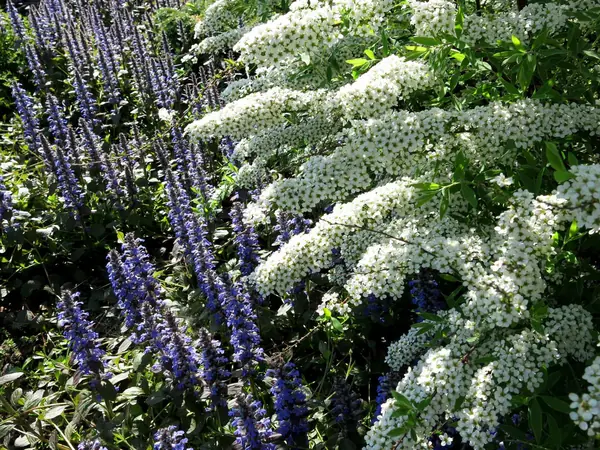 ТЕПЛЫШКО МОЕ. ВЕСНА.