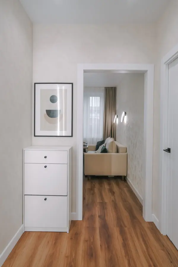 Однокомнатная квартира в Петербурге