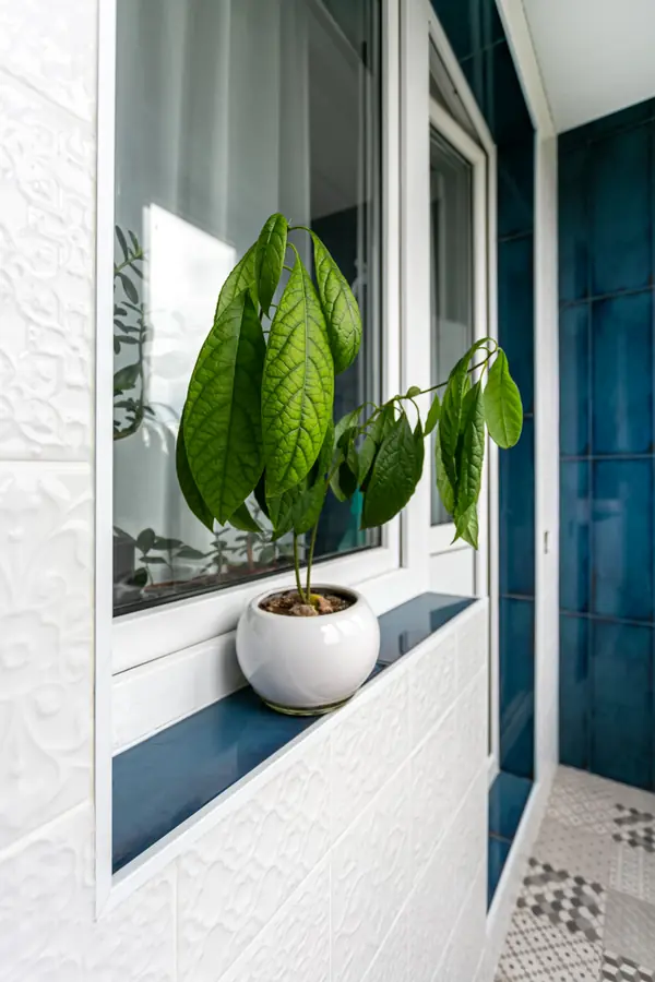 Москва Донецкая 26 (2-комнатная)