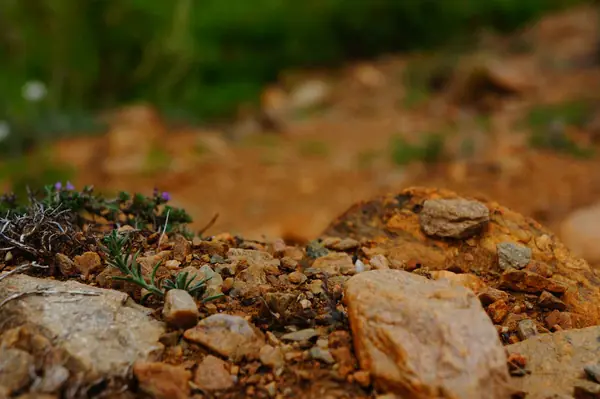 Декоративные камни используемые в ландшафтном дизайне