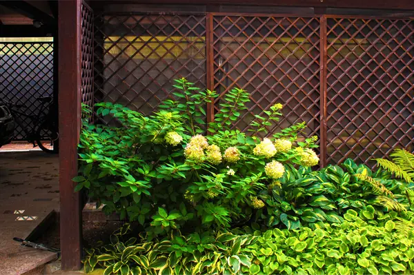 Ландшафтный проект участка в Дмитровском районе.