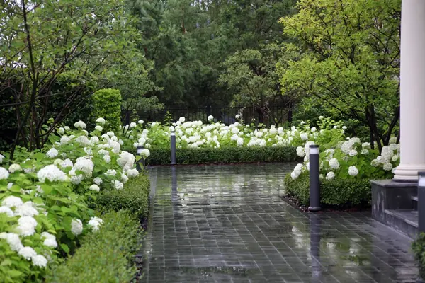 Тихая роскошь