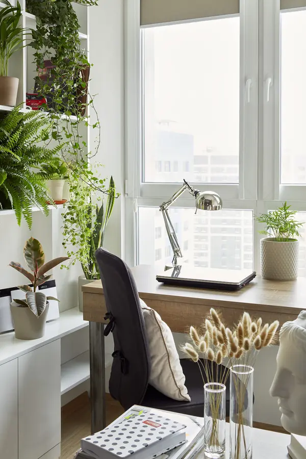 Солнечная квартира