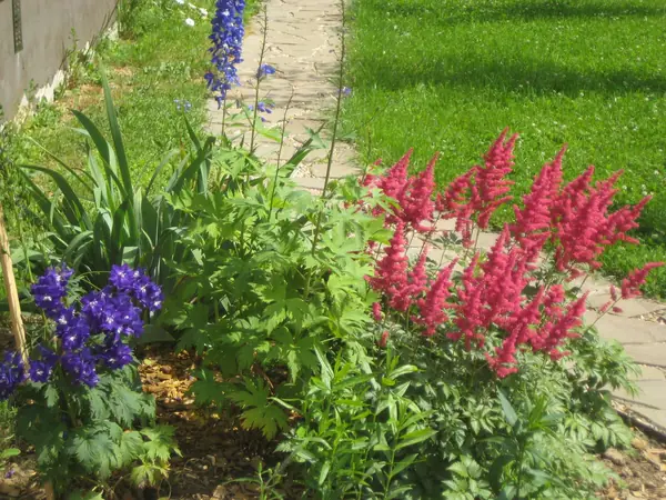 озеленение