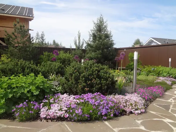 Сосновый бор