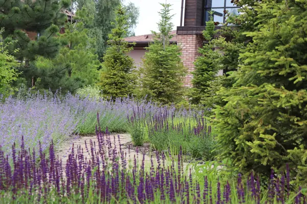 WB Парковая часть