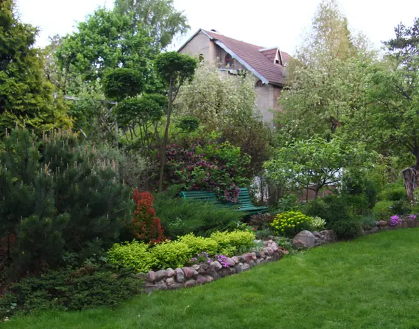 Наш сад / Our garden