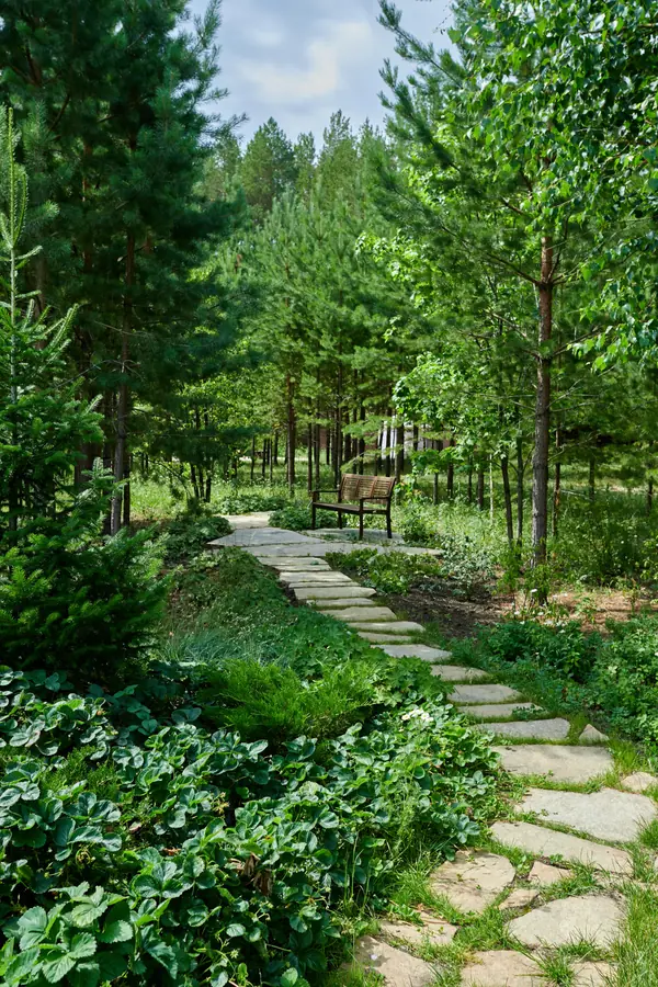 Лесной сад