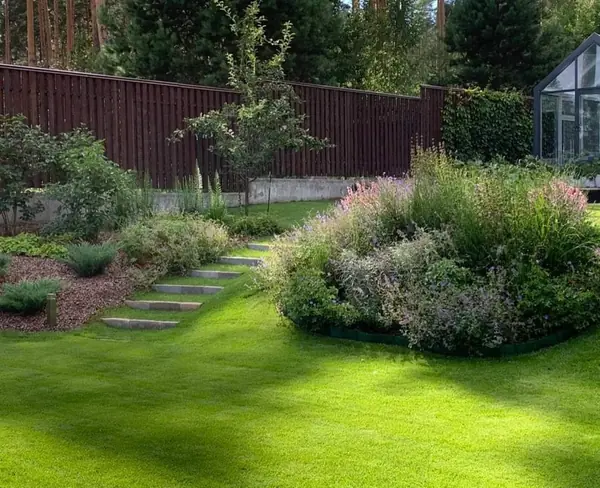 Золотой карп