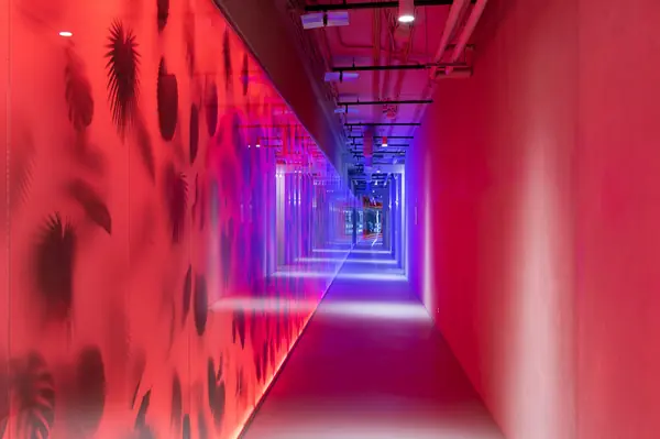 Клуб SURF BROTHERS, Москва