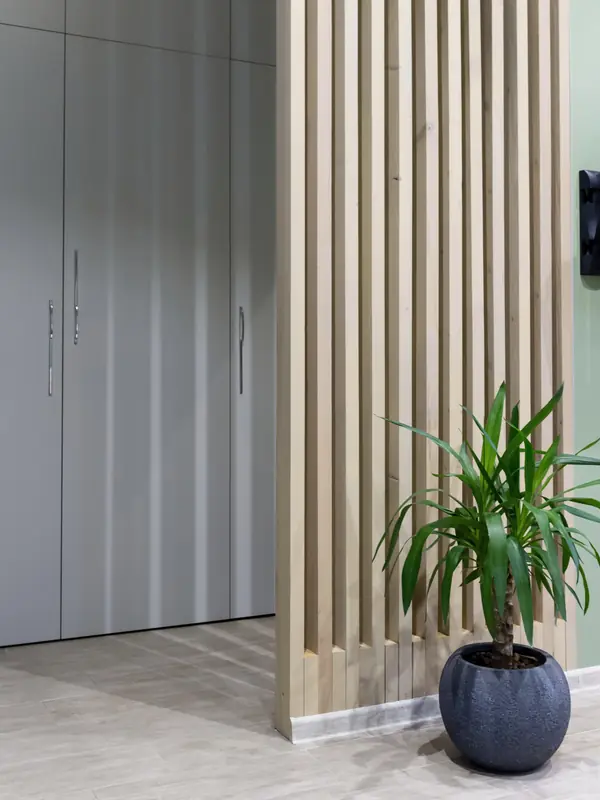 Дом в пригороде Петергофа