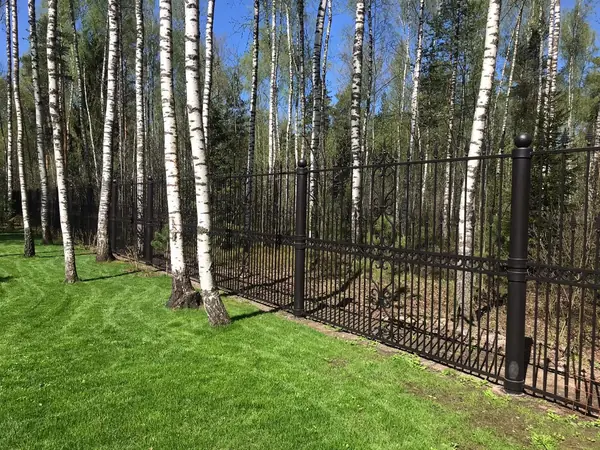 Кованый забор.