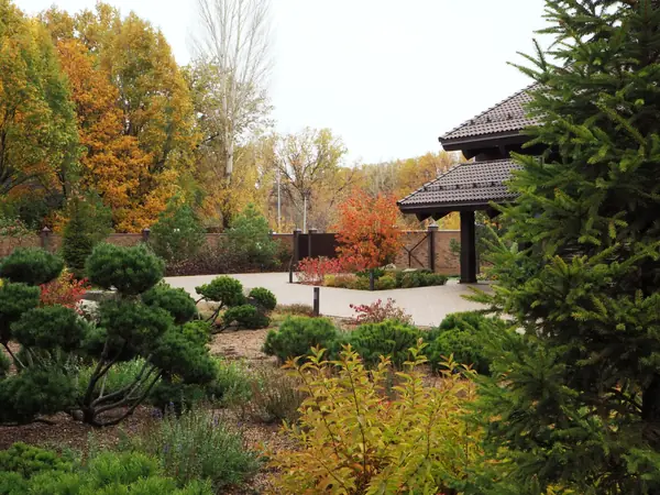 Осень в саду