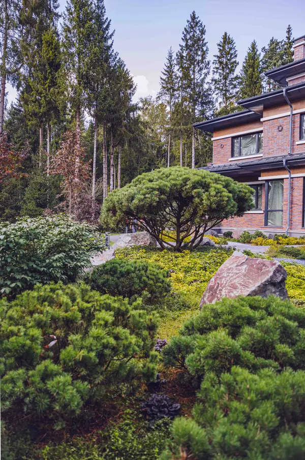 Архитектурное Решение в Пейзажном Стиле