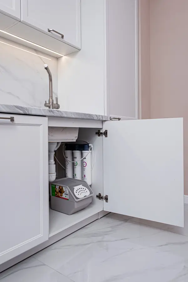 Строгая неоклассика