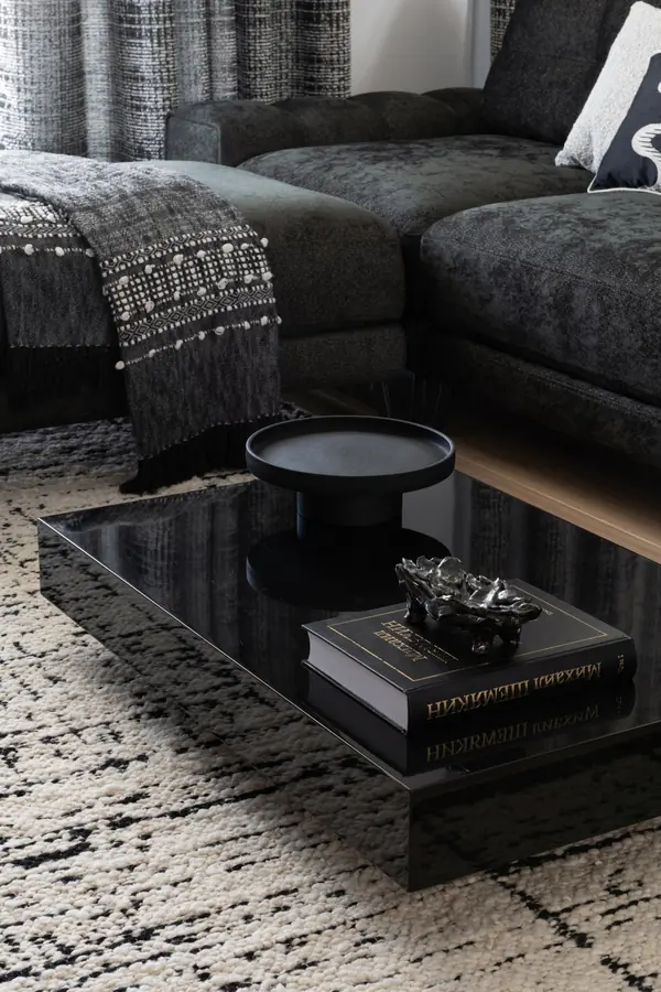 Частный дом в черно-белом цвете