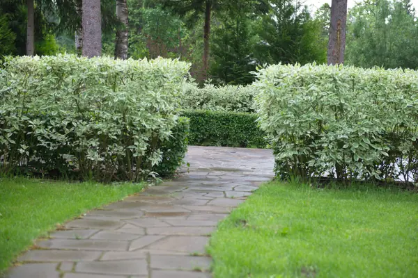 Paving. Типы покрытий, мощение