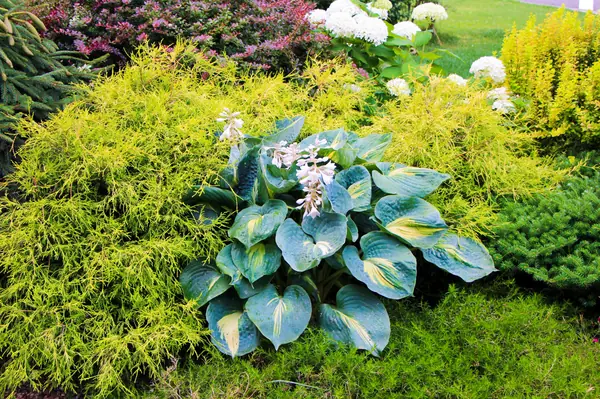 Новые Вешки