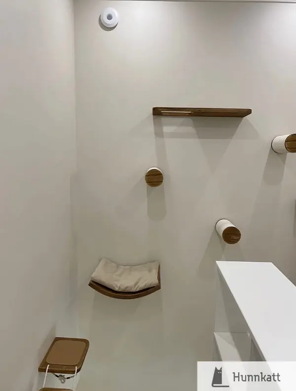 Настенный комплекс для кошек из шпона ясеня