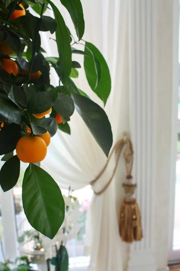 Дом на Щелковском шоссе: современное прочтение стиля рококо