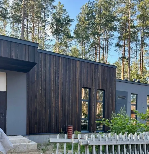 Медный всадник