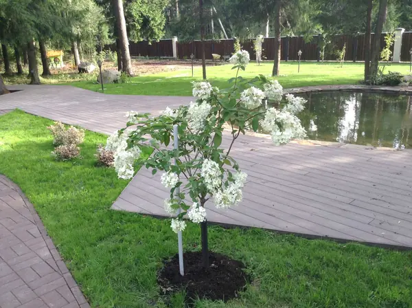 Благоустройство частного загородного участка в п. Медный завод