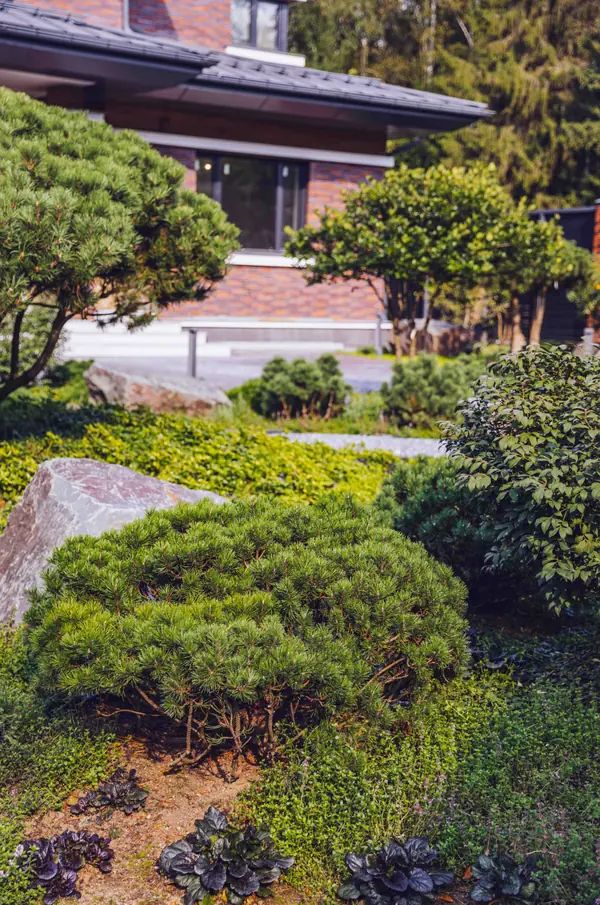 Архитектурное Решение в Пейзажном Стиле