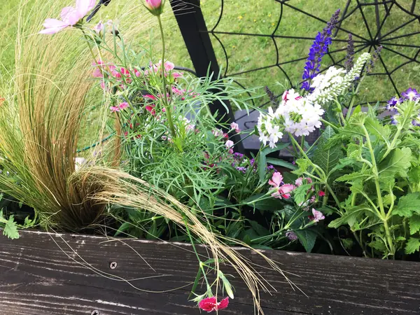 Терраса в Новых Вешках