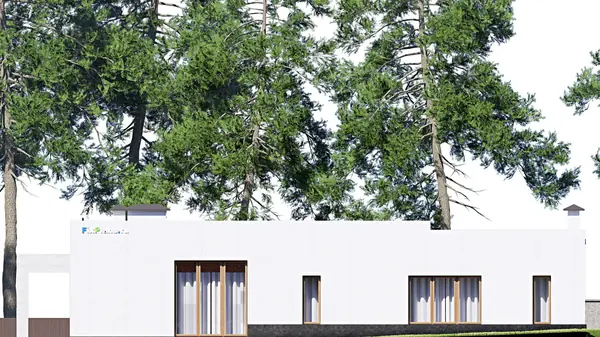 Проект одноэтажного дома 17х19м S228м2 F-15767